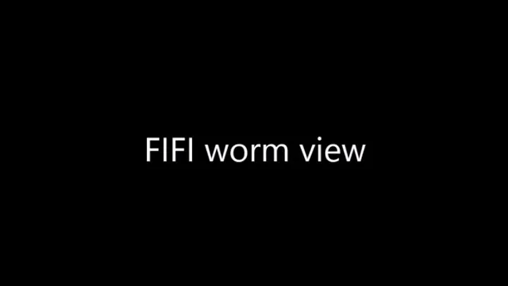 FIFI worm view