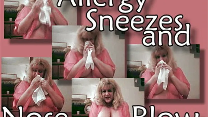 Allergy Sneezes and Noseblow and Tits
