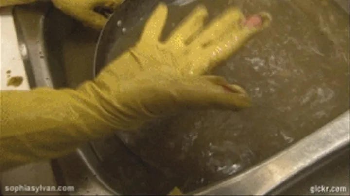 Punished By Filthy Dishwashing With Holey Old Gloves (moved from studio#16919)