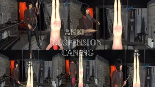 Ankle Suspension Caning