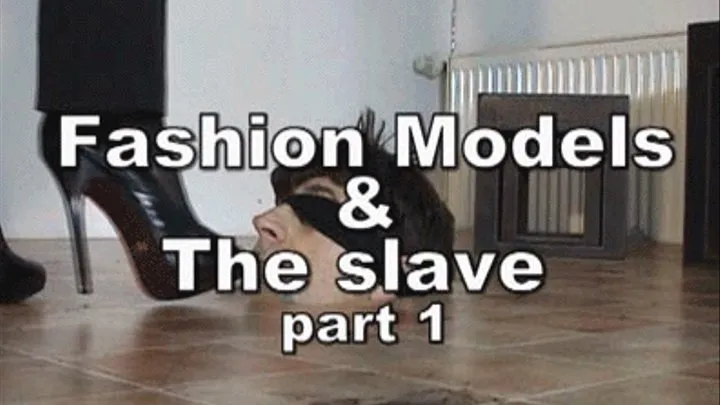 b-159 Fashion Models slave No.1