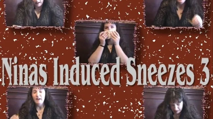 Ninas INDUCED SNEEZES 3