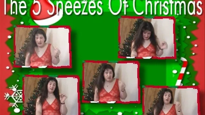 5 Sneezes of Christmas