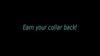 Earn your collar back!