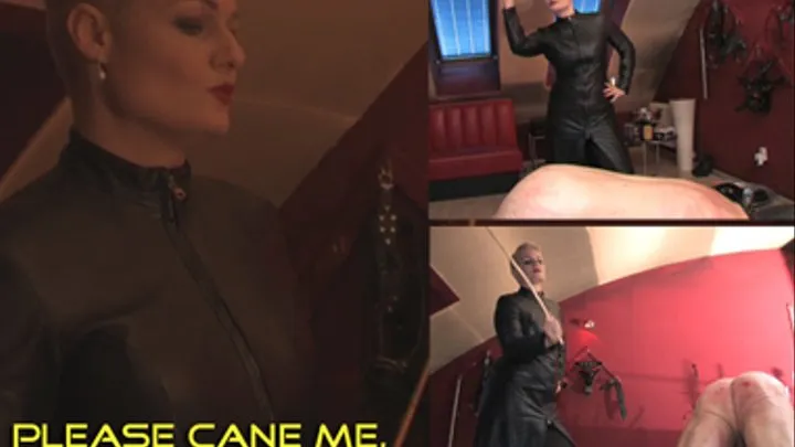 „Please cane me, until the cane is broken, Mistress ”