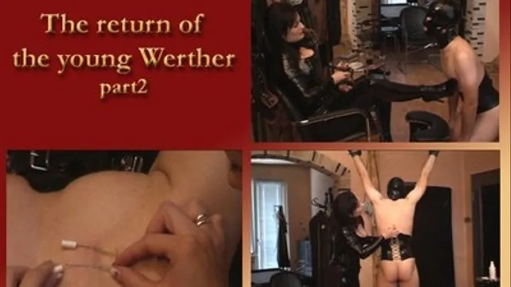 The return of the young Werther (part2)