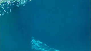 Brand New Amazing Underwater Acrobatics