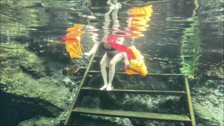 Underwater fans and fishnet dress dance! Soo Lovely!!