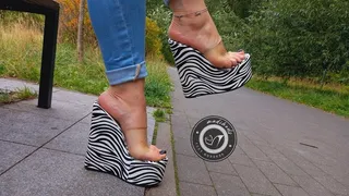 my zebra wedges in the park