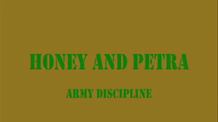 Army Discipline