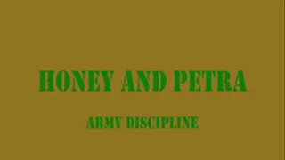 Army Discipline