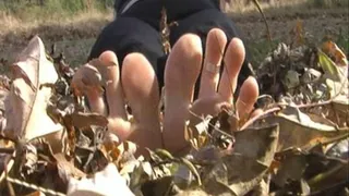 Playing In The Crunchy Leaves