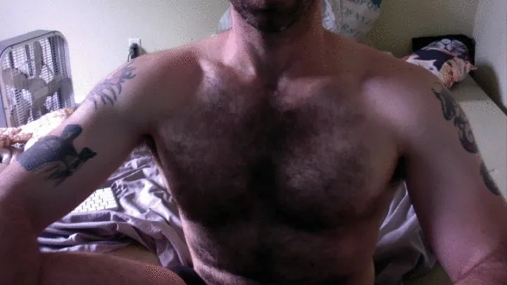 HAIRY ALPHA CHEST