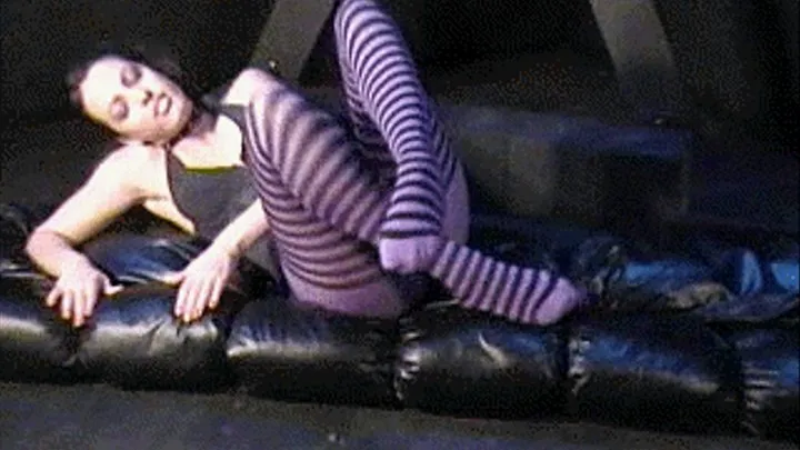 Pantera's Purple Striped Hose