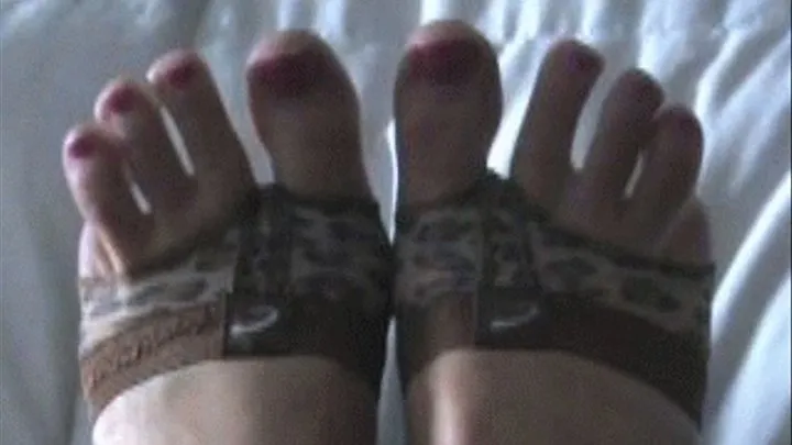 Toe Panties