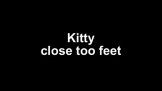 Kitty close to feet