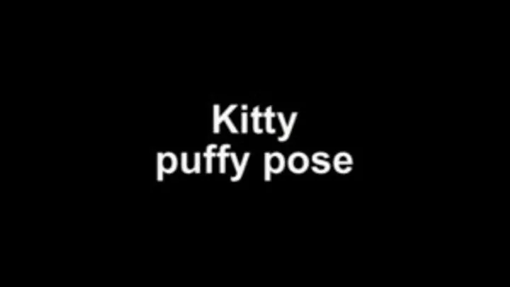 Kitty puffy pose