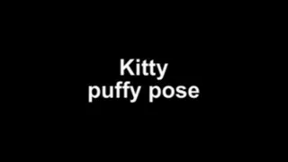 Kitty puffy pose