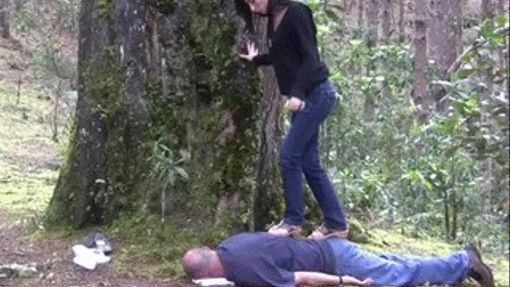 Trampling, Kicking, Modeling Forest