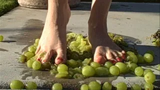 Green Grape Barefoot Crush