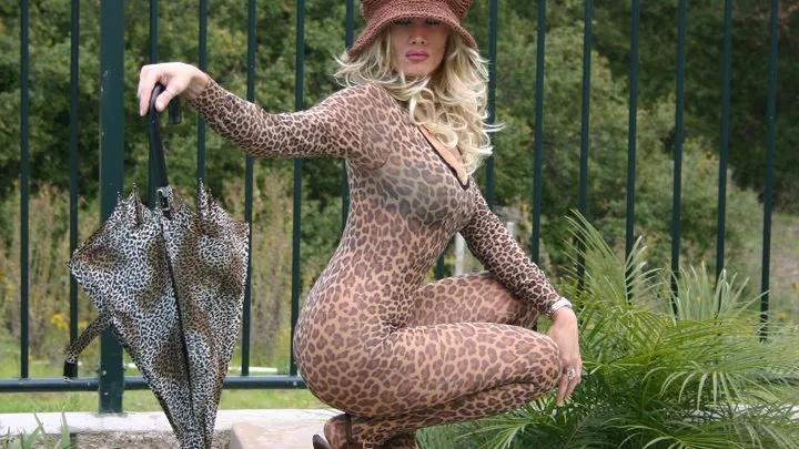 Taylor Renee Goddess Leopard Print Bodystocking Video Vixen! A Must for All Taylor Fans!