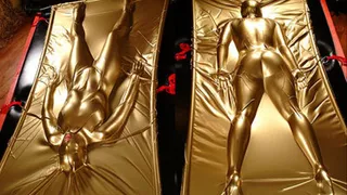 Angel in the gold Vacbed