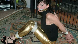 Nyxon, Hogtied in Gold Spandex Disco Jeans.