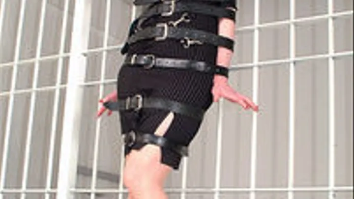 Morrigan Hel, Strapped to the cell bars