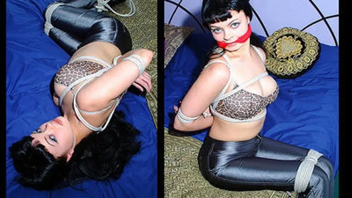 Kitty Klaw Hogtied in Grey Spandex Disco Pants