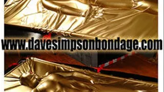 Angel in the gold Vacbed High Definition