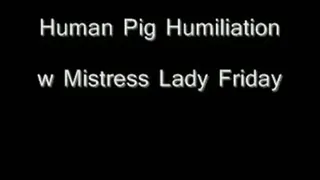 Human pig Humiliation