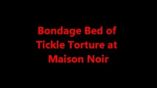Bondage Bed of Tickle