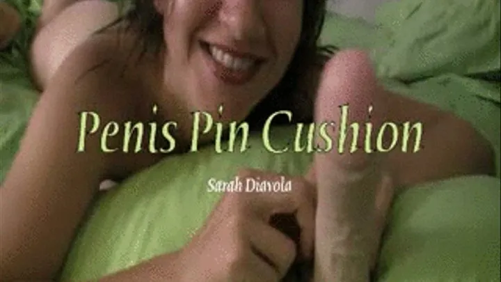 Penis Pin Cushion