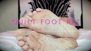 Quiet Foot Pet