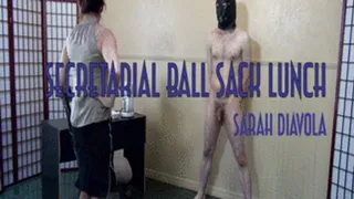 Secretarial Ball Sack Lunch