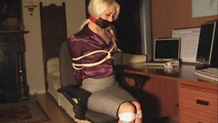 SecretaryTapegagged in Satin