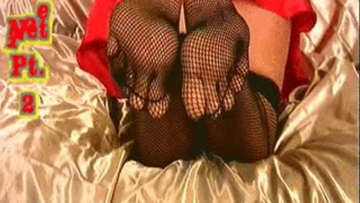 Toe Net Pt2