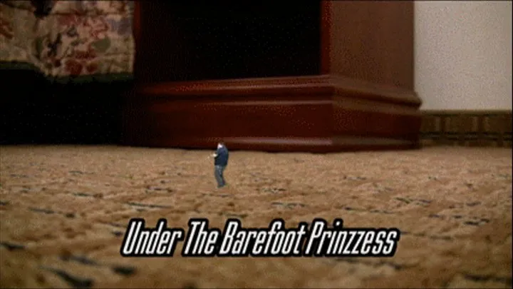 Under The Barefoot Prinzzess