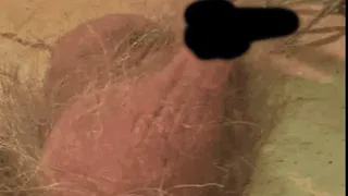 39 X. Penis Pain Session .nail paragraph perforated testicle-strikes. . complete film