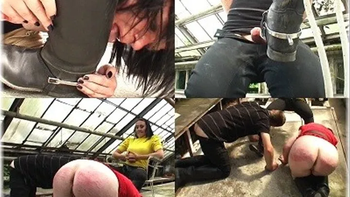 Aptitude Check for a Slavegirl - Part 5