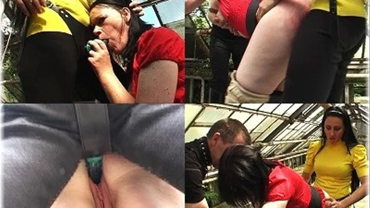 Aptitude Check for a Slavegirl M - Part 3