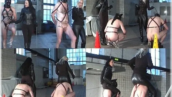 Merciless Riding Mistresses 2 - Part 2