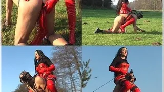 Ponyplay 5 - Full clip