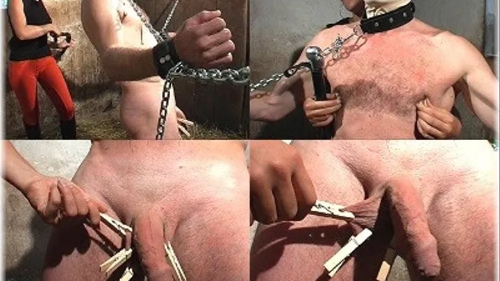 Stable Slave 3 - Part 3