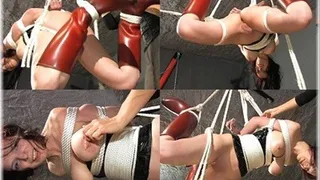 Hogtied - Part 7