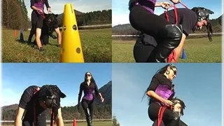 Ponytraining 9 M - Full Clip