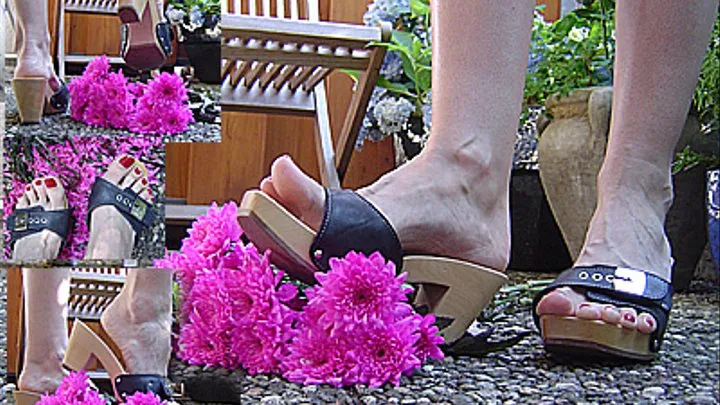 Crushing pink flowers wooden Dr. Scholl mules