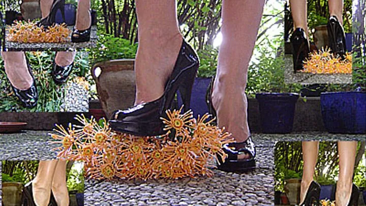 Crush flowers in Peep Toes