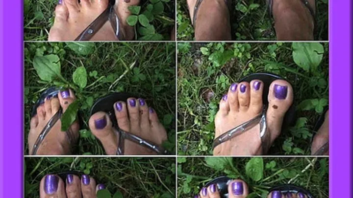 Pretty toes flip flops and wet grass