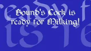 Bounds Cock is Ready for Milking!